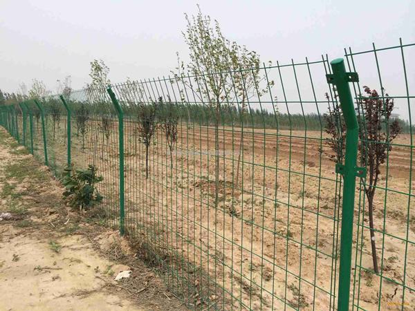 苗木种植基地围栏网